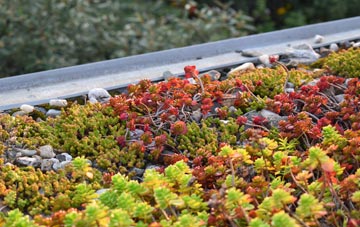 the cost of Westbourne green roof installation