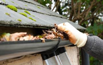 gutter cleaning Westbourne
