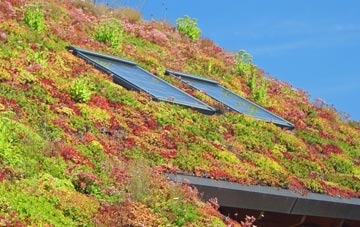 Westbourne living roof systems