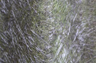 Westbourne fibreglass roof work